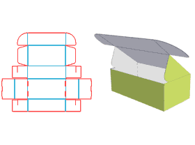 Packaging-Carton-Design