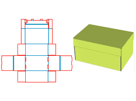 Shoe Box Packing Box
